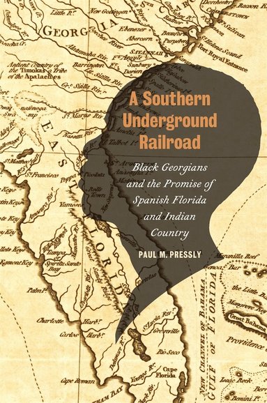 bokomslag Southern Underground Railroad