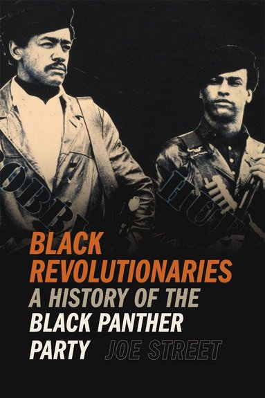 bokomslag Black Revolutionaries