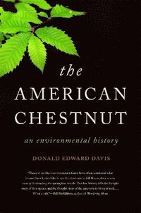 bokomslag The American Chestnut