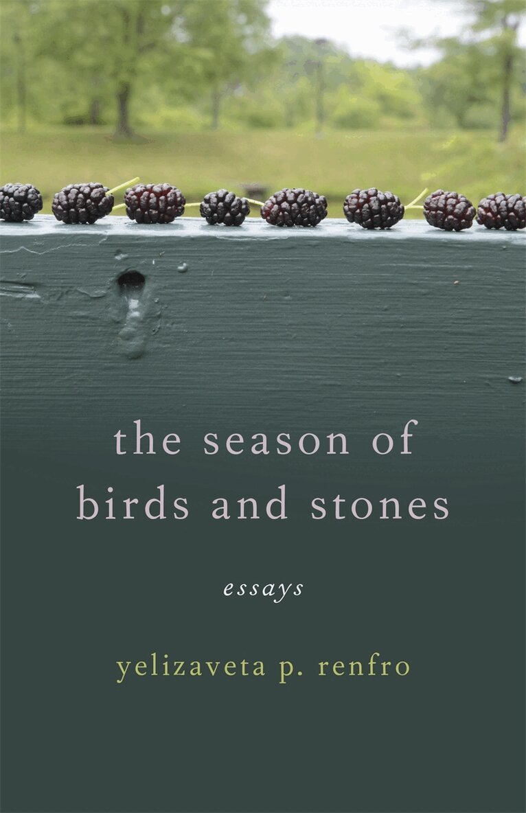 Season of Birds and Stones