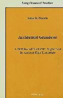 John R Harris, Daniel H. Garrison - Accidental Grandeur, Inbunden