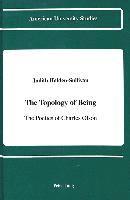 bokomslag The Topology of Being
