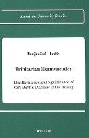 bokomslag Trinitarian Hermeneutics