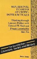 Situational Tensions of Critic-Intellectuals