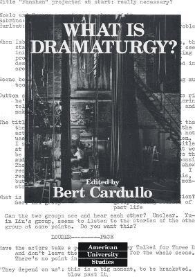 bokomslag What is Dramaturgy?