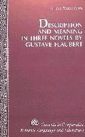 bokomslag Description and Meaning in Three Novels by Gustave Flaubert