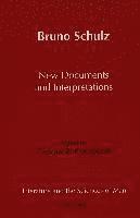 bokomslag Bruno Schulz New Documents and Interpretations