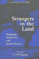 H. Svi Shapiro, Shirley R. Steinberg, Joe L. Kincheloe - Strangers in the Land, Häftad