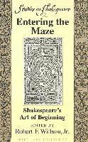 Entering the Maze