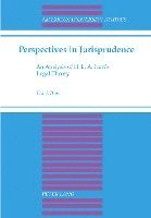 bokomslag Perspectives in Jurisprudence