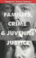 bokomslag Families, Crime and Juvenile Justice