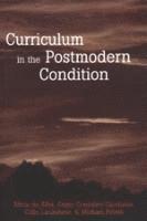 bokomslag Curriculum in the Postmodern Condition