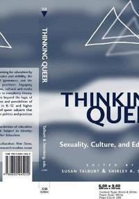 bokomslag Thinking Queer