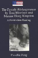 bokomslag The Female Bildungsroman by Toni Morrison and Maxine Hong Kingston