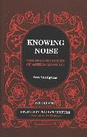 bokomslag Knowing Noise
