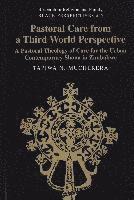 bokomslag Pastoral Care from a Third World Perspective