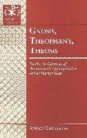 bokomslag Gnosis, Theophany, Theosis