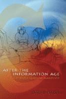 After the Information Age