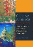 bokomslag Chinese America