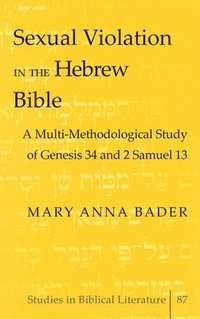 bokomslag Sexual Violation in the Hebrew Bible