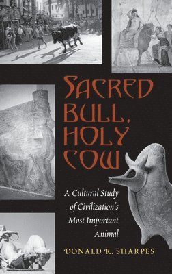 Sacred Bull, Holy Cow 1