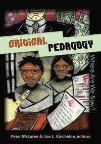 bokomslag Critical Pedagogy: Where are We Now?