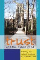 bokomslag Trust and the Public Good