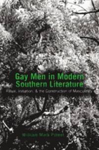 bokomslag Gay Men in Modern Southern Literature