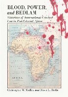 Christopher W. Mullins, Dawn L. Rothe, Jeffrey Ian Ross - Blood, Power and Bedlam, Häftad
