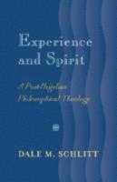 bokomslag Experience and Spirit