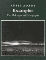 bokomslag Examples: The Making Of 40 Photographs