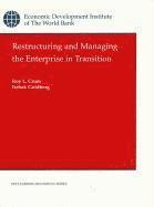 bokomslag Restructuring and Managing the Enterprise in Transition