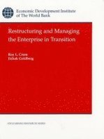 bokomslag Restructuring and Managing the Enterprise in Transition