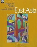 Choices for Efficient Private Provision of Infrastructure in East Asia, Häftad