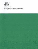 bokomslag Poverty Lines in Theory and Practice