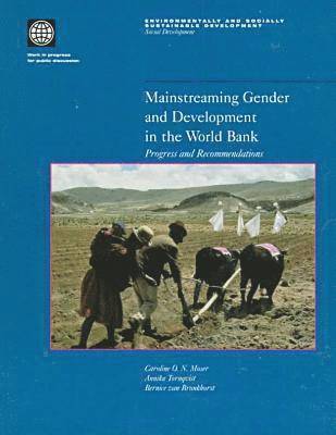 bokomslag Mainstreaming Gender and Development in the World Bank