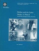 bokomslag Welfare and the Labor Market in Poland