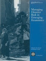 bokomslag Managing Disaster Risk in Emerging Economies