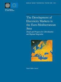 bokomslag The Development of Electricity Markets in the Euro-Mediterranean Area: Trends and Prospects for Liberalization and Regional Intergration