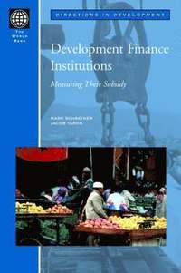 bokomslag Development Finance Institutions