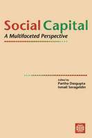 Social Capital 1