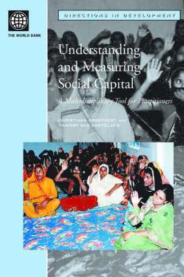 Understanding and Measuring Social Capital