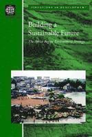 bokomslag Building a Sustainable Future