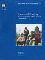 bokomslag Poverty and Ethnicity