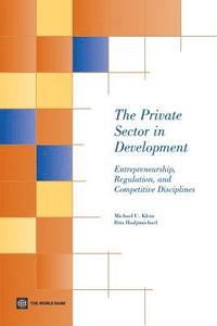 bokomslag The Private Sector in Development