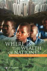 bokomslag Where Is the Wealth of Nations?