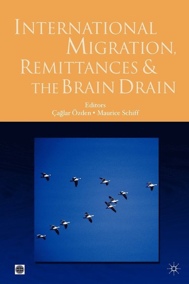 bokomslag International Migration, Remittances, and the Brain Drain