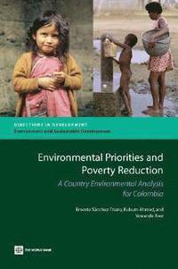 bokomslag Environmental Priorities and Poverty Reduction