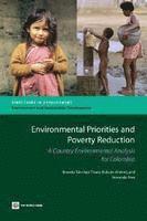 bokomslag Environmental Priorities and Poverty Reduction