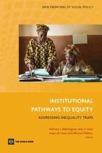 bokomslag Institutional Pathways to Equity